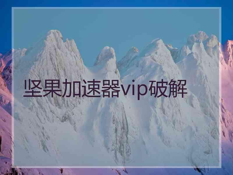 坚果加速器vip破解