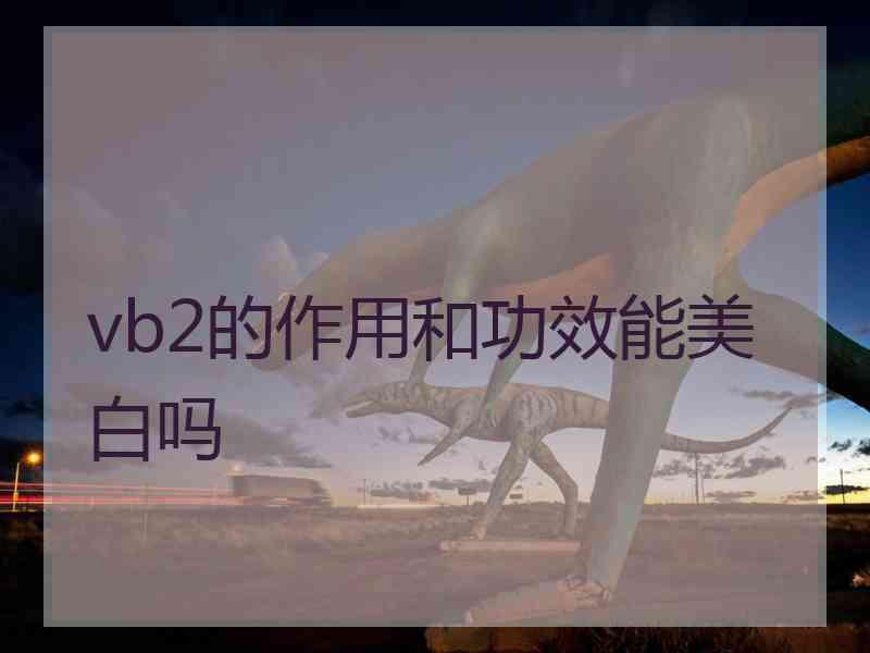 vb2的作用和功效能美白吗