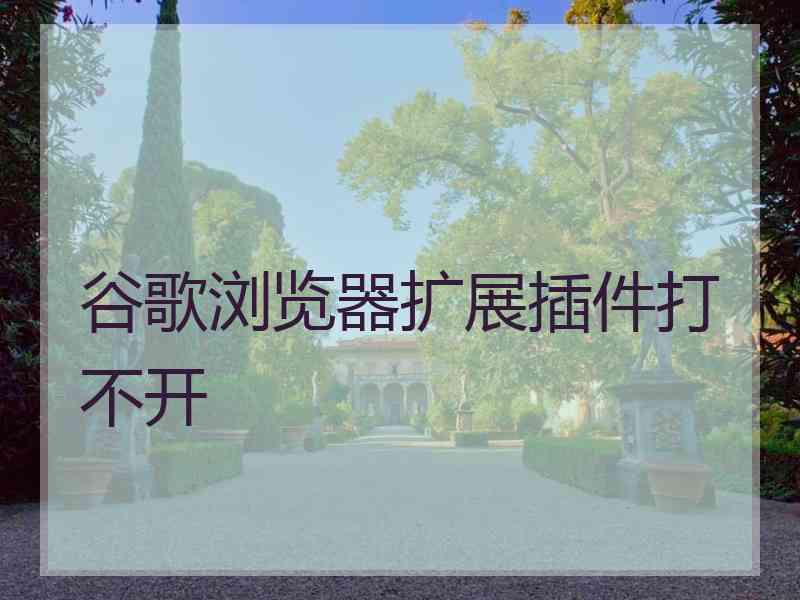 谷歌浏览器扩展插件打不开