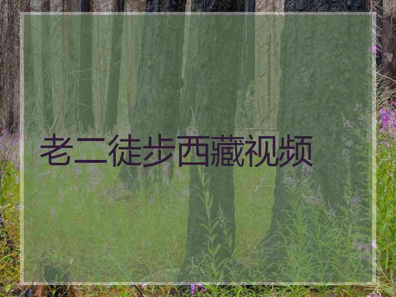 老二徒步西藏视频