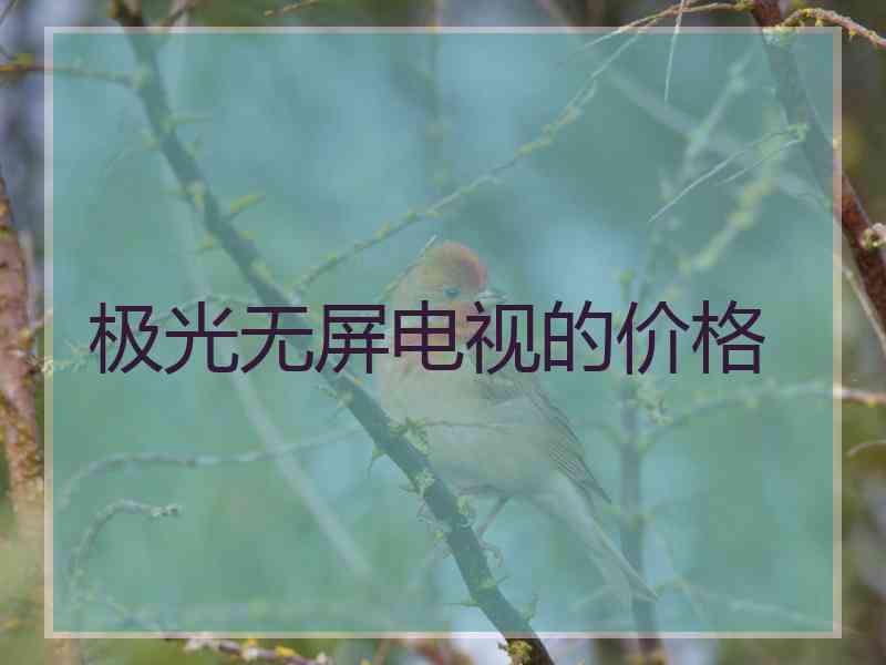 极光无屏电视的价格