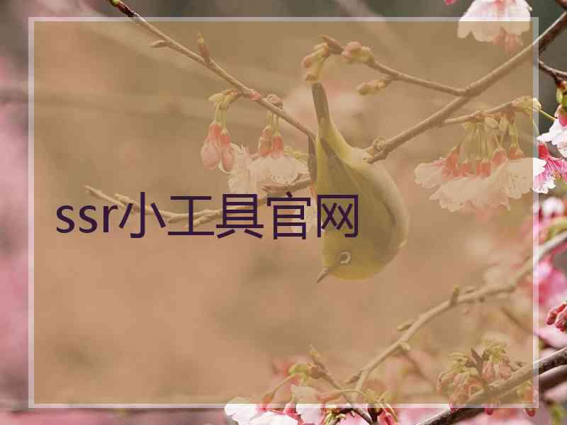 ssr小工具官网