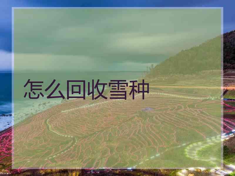 怎么回收雪种