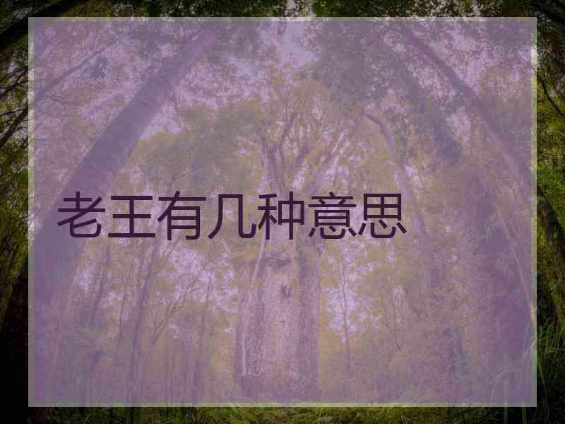 老王有几种意思