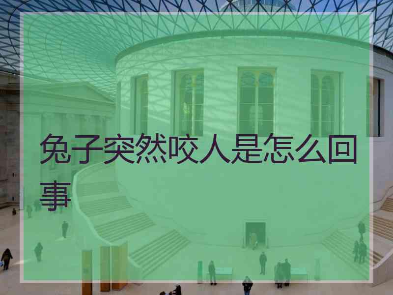 兔子突然咬人是怎么回事
