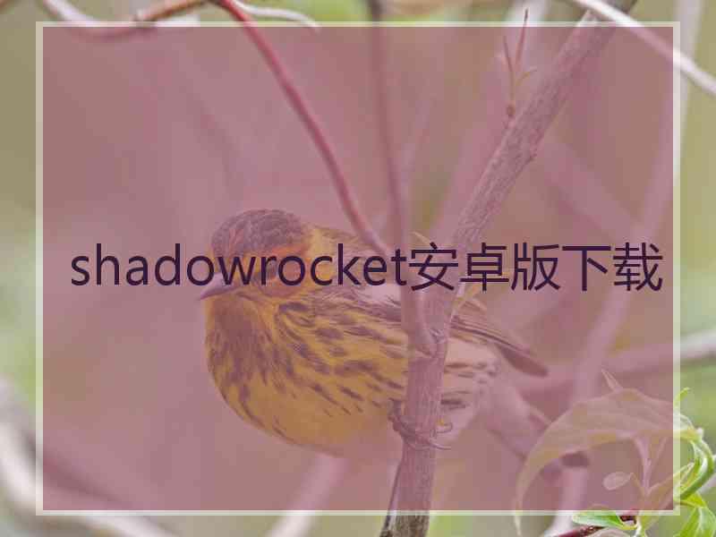 shadowrocket安卓版下载