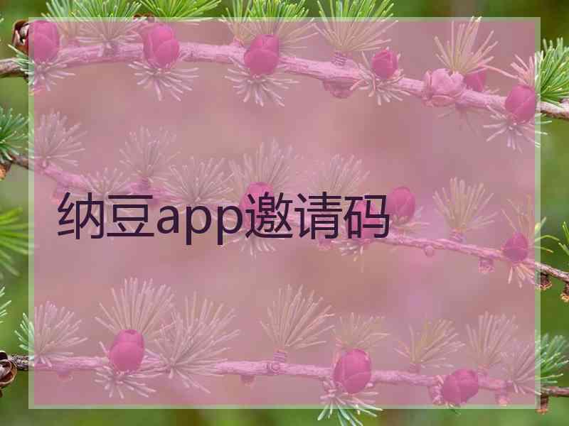 纳豆app邀请码