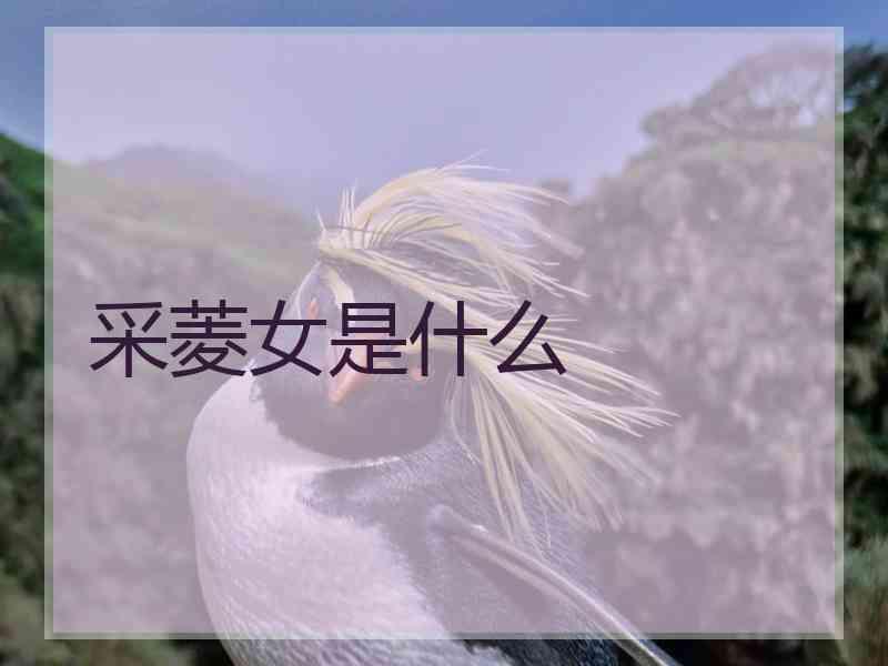 采菱女是什么