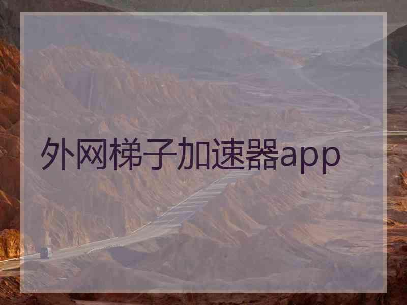 外网梯子加速器app