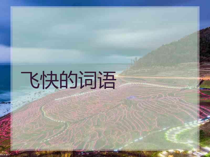 飞快的词语