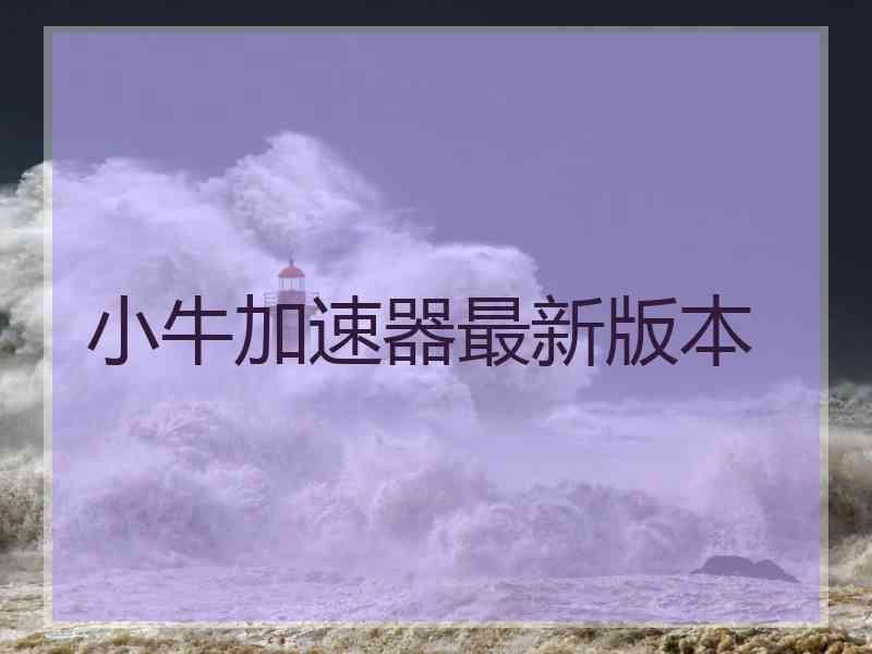小牛加速器最新版本