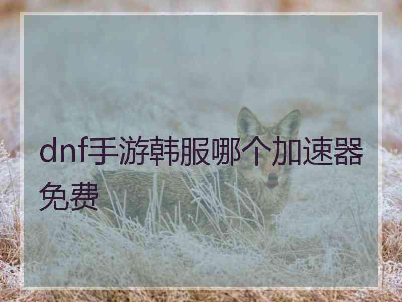 dnf手游韩服哪个加速器免费