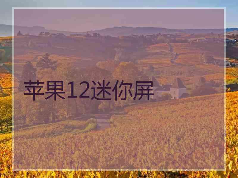 苹果12迷你屏