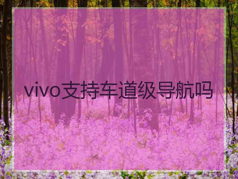 vivo支持车道级导航吗