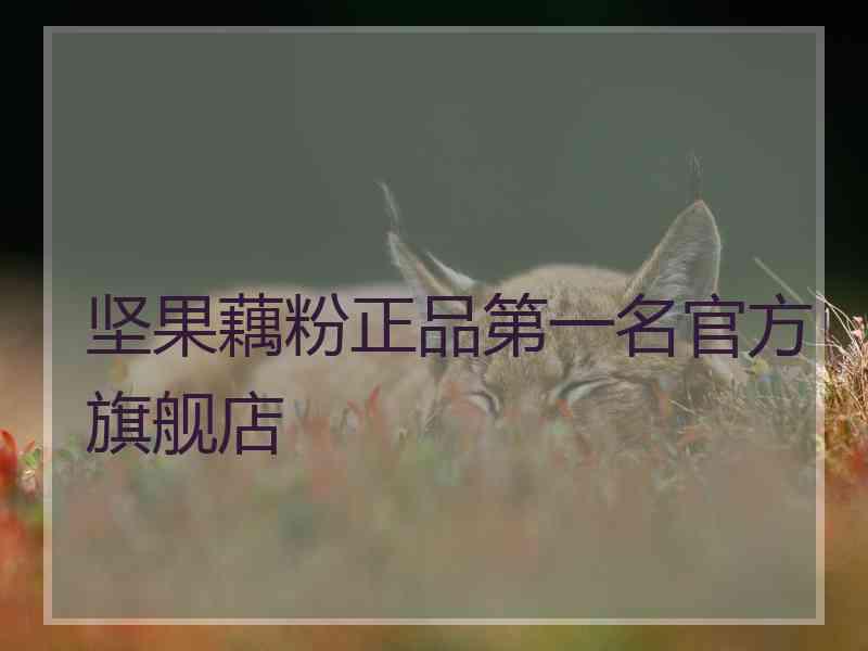 坚果藕粉正品第一名官方旗舰店