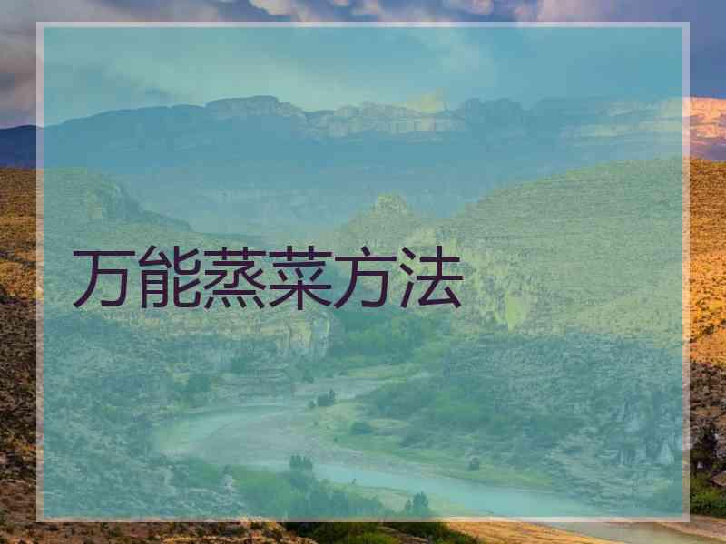 万能蒸菜方法
