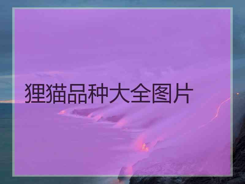 狸猫品种大全图片