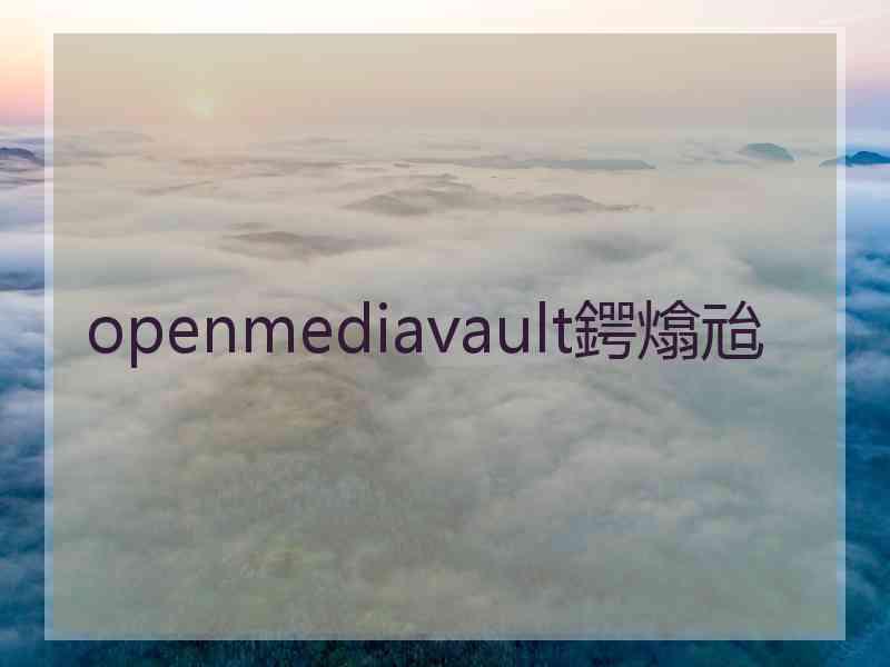 openmediavault鍔熻兘