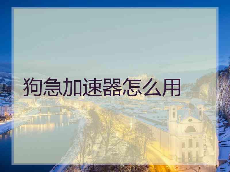狗急加速器怎么用