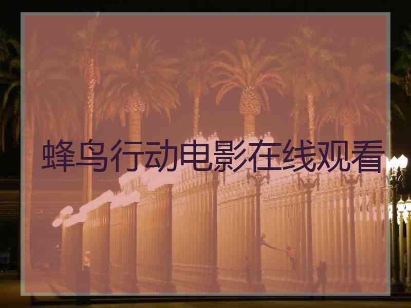 蜂鸟行动电影在线观看
