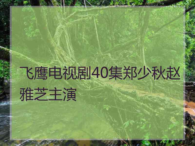 飞鹰电视剧40集郑少秋赵雅芝主演
