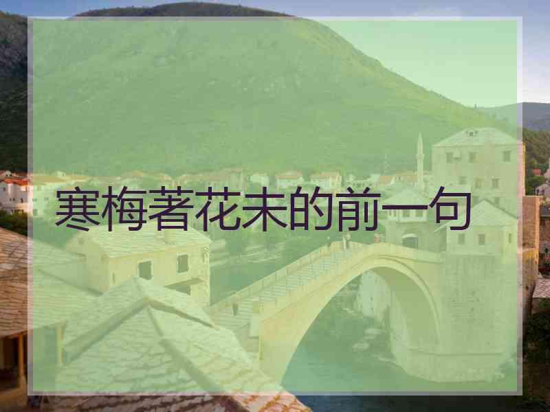 寒梅著花未的前一句