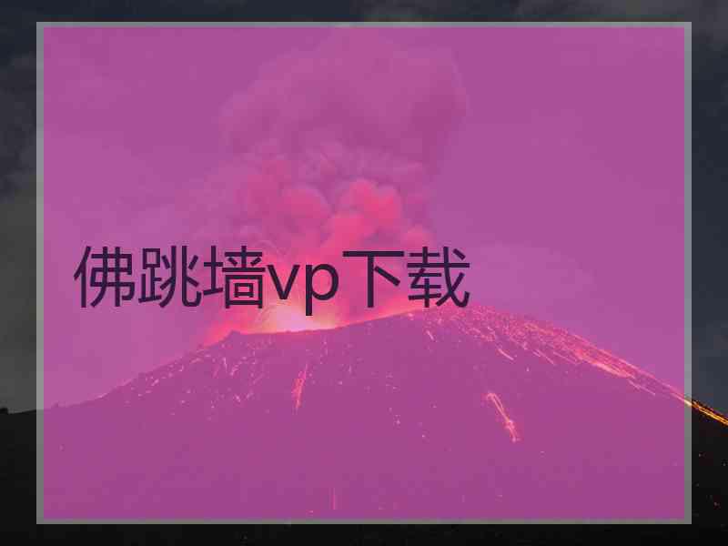 佛跳墙vp下载