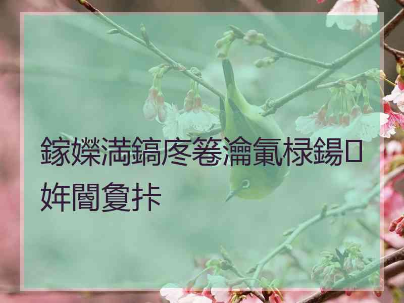 鎵嬫満鎬庝箞瀹氭椂鍚姩閽夐拤