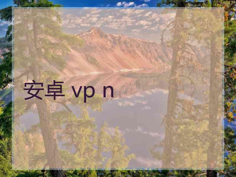 安卓 vp n