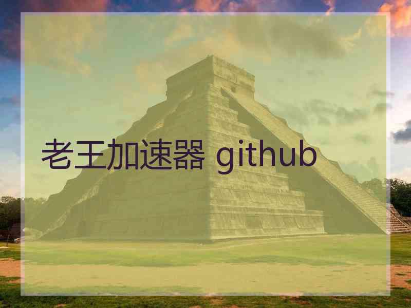 老王加速器 github
