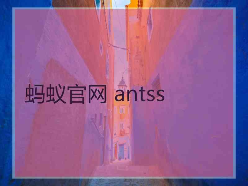 蚂蚁官网 antss