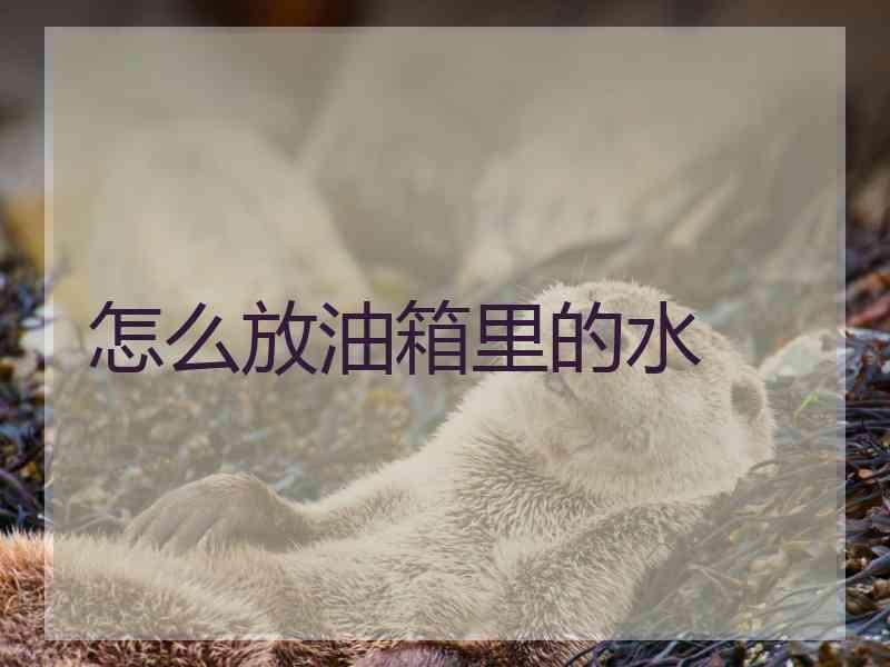 怎么放油箱里的水