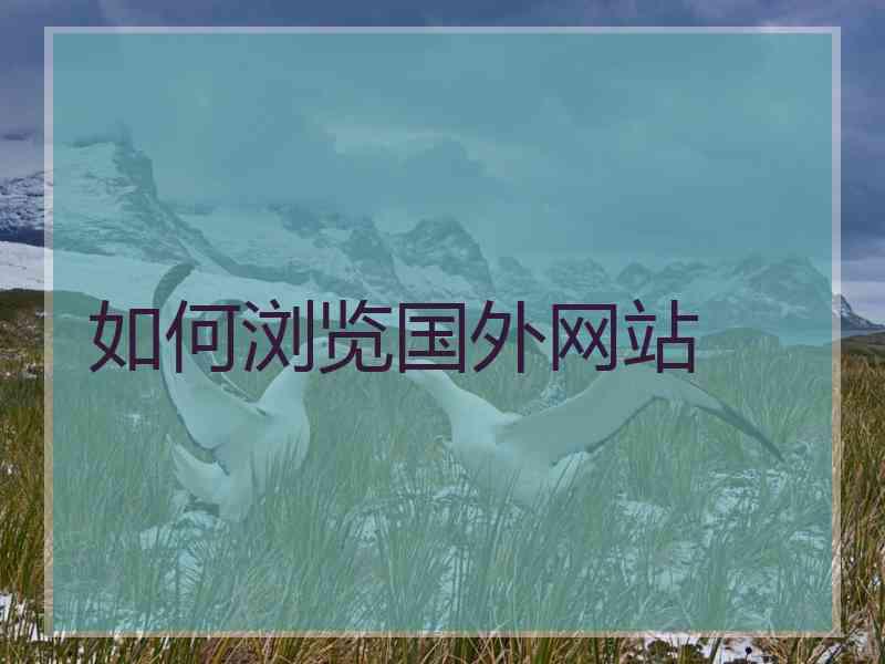 如何浏览国外网站