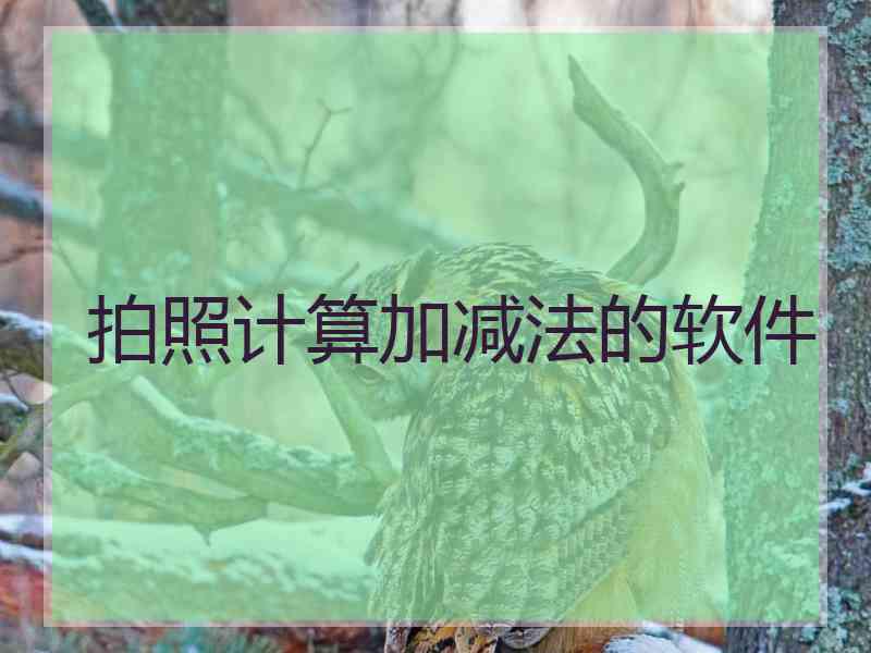 拍照计算加减法的软件