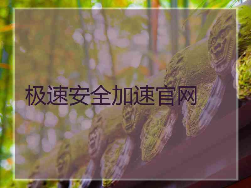 极速安全加速官网