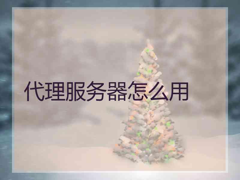 代理服务器怎么用