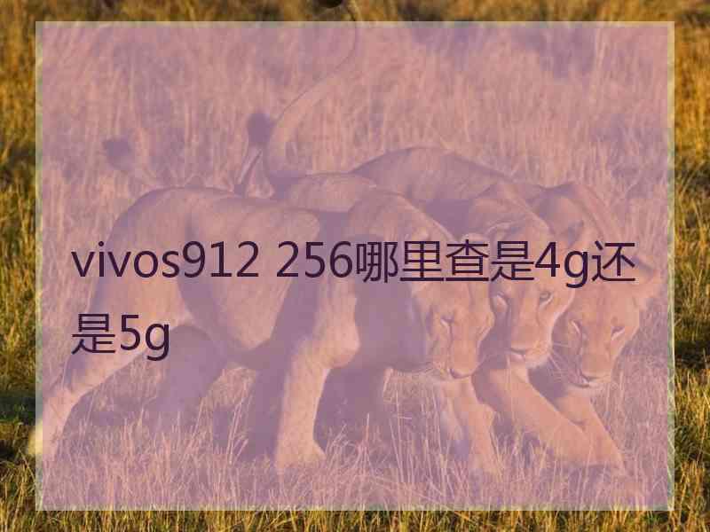 vivos912 256哪里查是4g还是5g