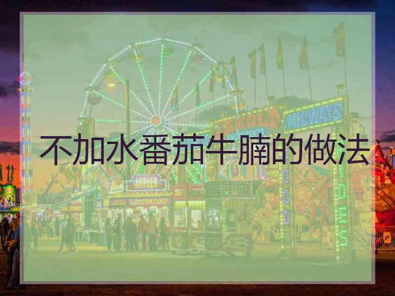 不加水番茄牛腩的做法