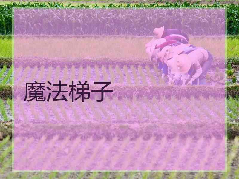 魔法梯子