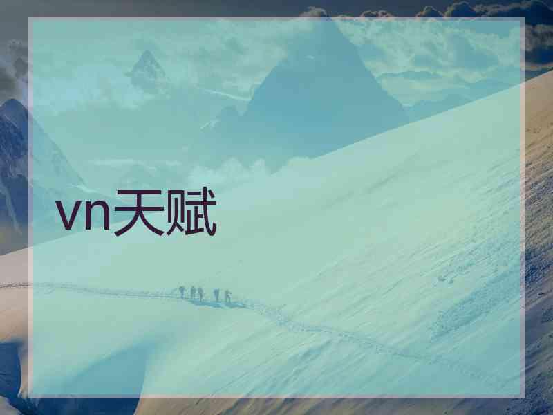 vn天赋
