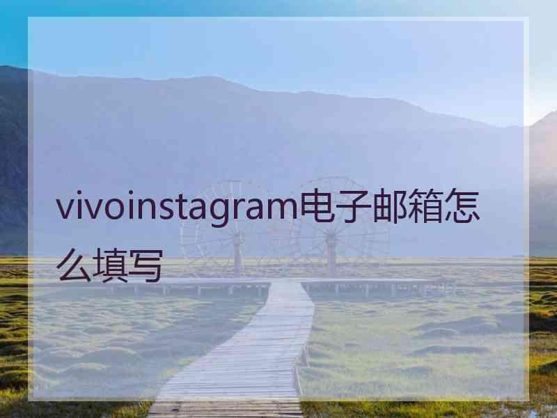 vivoinstagram电子邮箱怎么填写