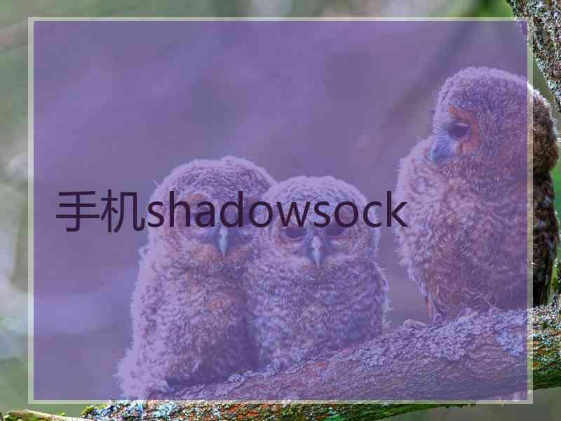 手机shadowsock