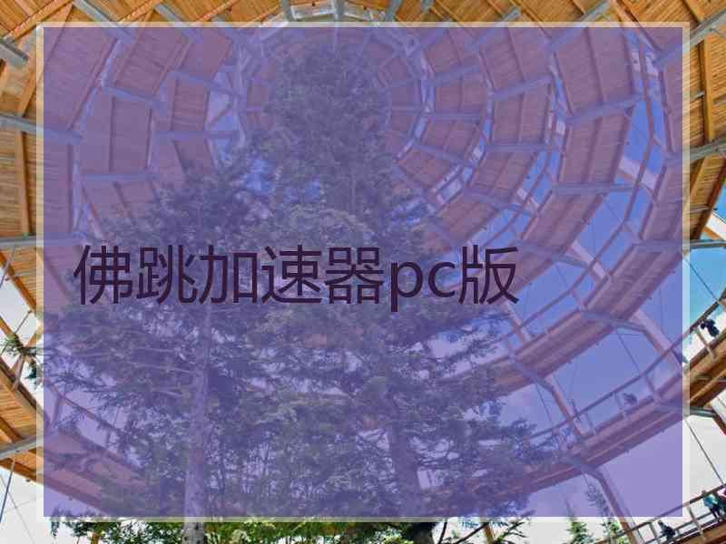 佛跳加速器pc版
