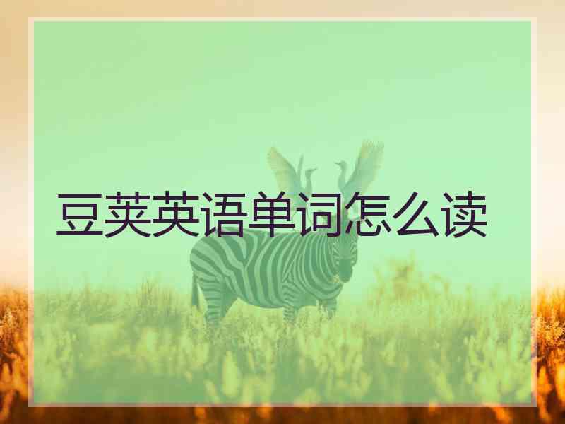 豆荚英语单词怎么读