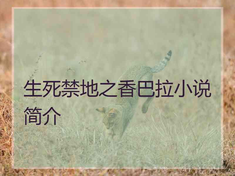 生死禁地之香巴拉小说简介