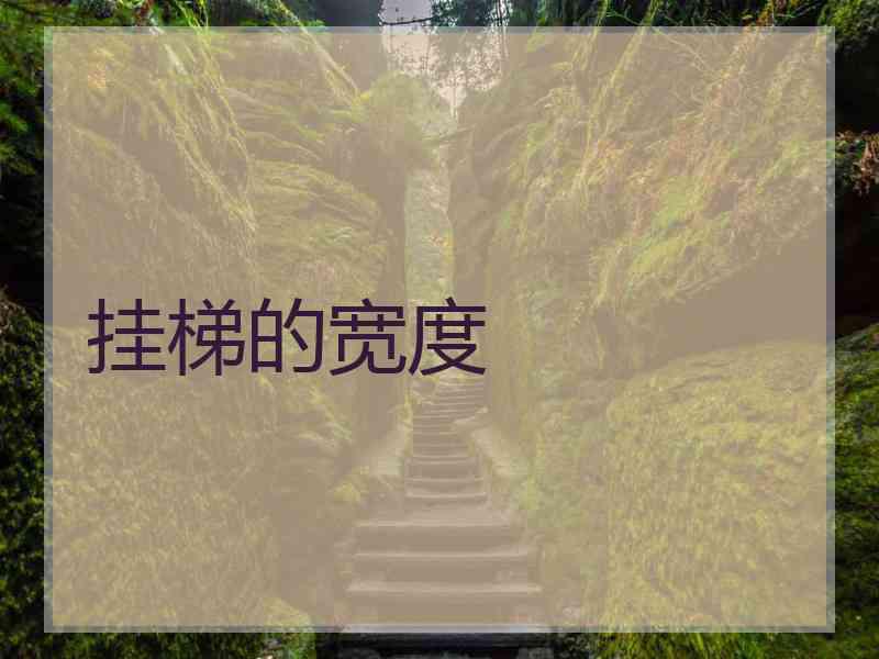 挂梯的宽度
