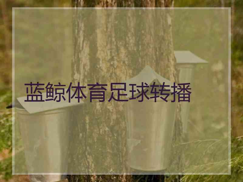 蓝鲸体育足球转播