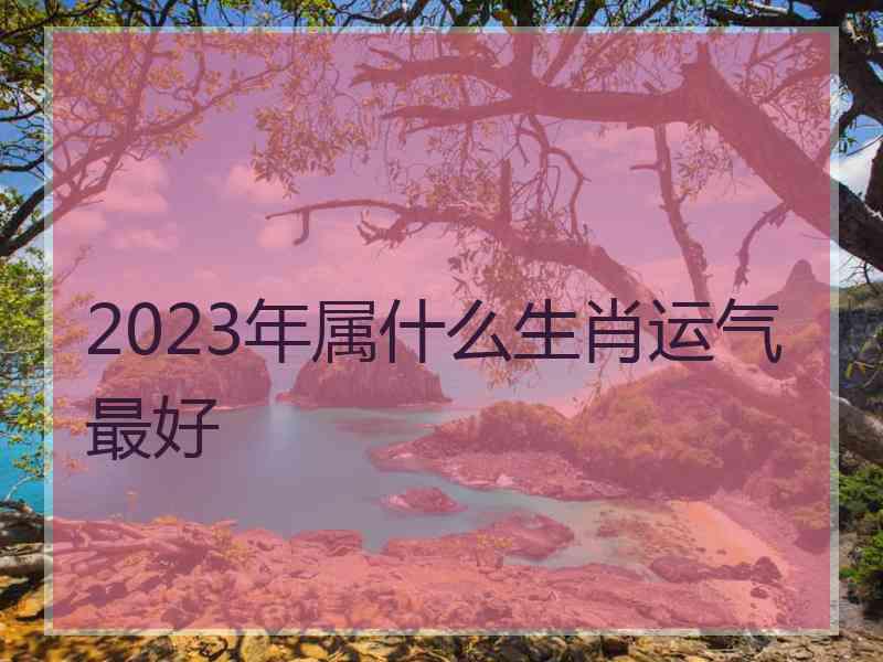 2023年属什么生肖运气最好