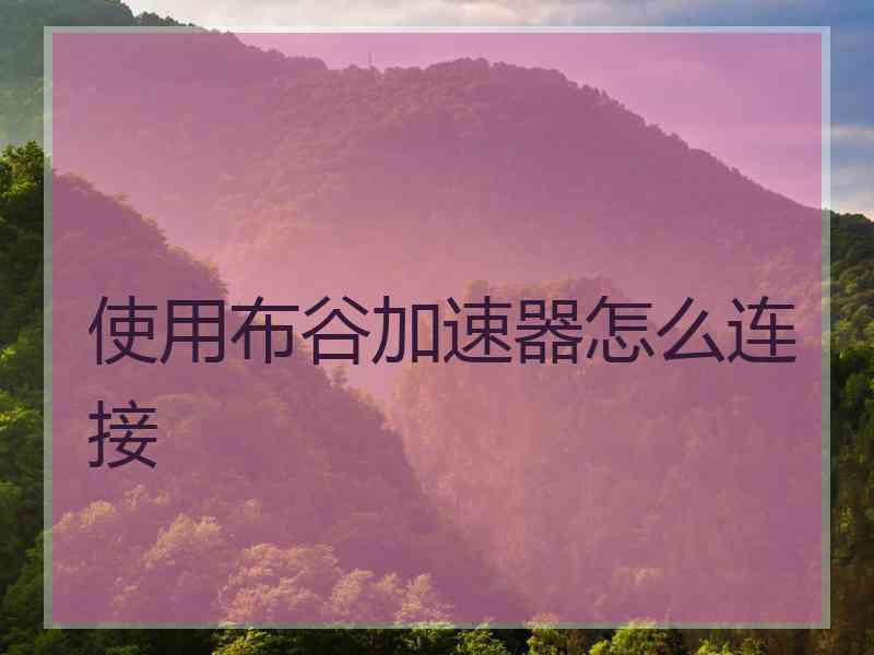 使用布谷加速器怎么连接