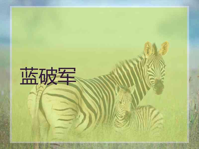 蓝破军